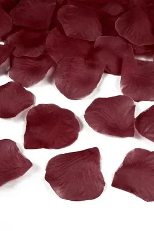 Prix Cassé Petale de rose mariage Bordeaux x 500 pièces
