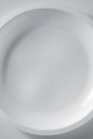 Grande assiette en plastique ronde Blanc 29cm x 10 pièces Super Prix