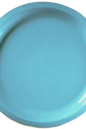 Prix Cassé Plateau en plastique rond Turquoise 29cm x 10 pièces