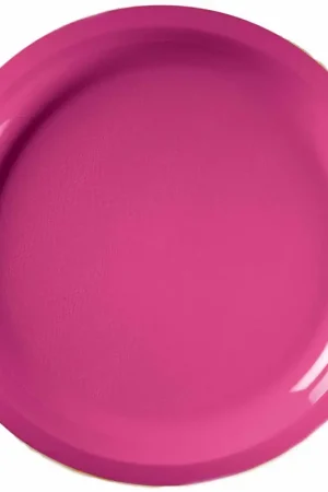 Super Prix Plateau en plastique rond Fuchsia 29cm x 10 pièces