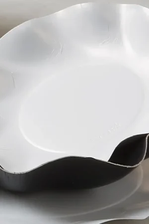 Assiette en carton designVague Blanc 27cm x 20 pièces Authentique