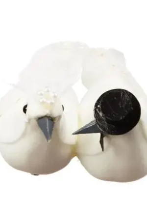 Vente Directe Couple de colombe plume noir et blanc