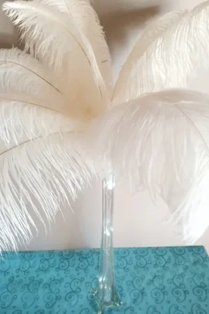 Plume d'Autruche Blanche Géante 55-60cm Nouvel Arrivage
