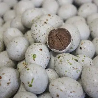 Populaire Oeuf de mouette au chocolatx 500gr