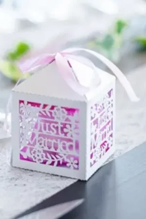 Dernier Modèle Cage a papier mariage Just Married x 10 pièces