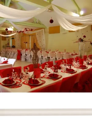 Tenture mariage en tulle Ivoire 80cm x 9 mètres Expédié Aujourd'hui