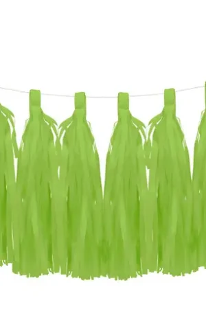 Tassel Decoration Mariage Menthe 35cm x 6 pièces Quantité Limitée