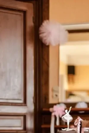 Guirlande Décorative de Pompon de Tulle Blanc Meilleure Vente