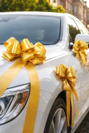 Prix Cassé Noeud automatique Doré x10 pièces