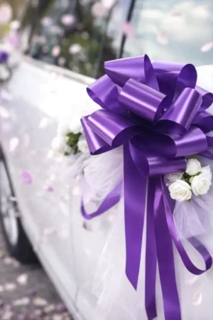 Satisfait Ou Remboursé Noeud automatique Violet x 4 pièces