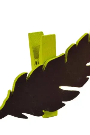 Bon Plan Marque place Ardoise Plume Vert anis x 6 pièces