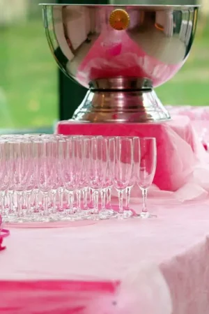 Populaire Rouleau de nappe en voie seche Rose claire x 25m