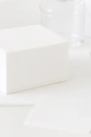 Serviette en papier Snack Blanche x 250 pièces Prix Réduit