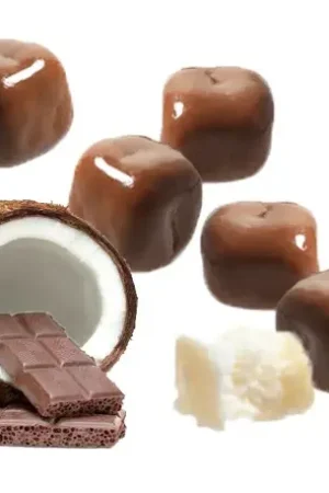 Prix Choc Dragees Dés de Coco au Chocolat x 500 gr