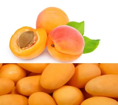 Authentique Dragees a la pate de fruit Abricot x 500gr