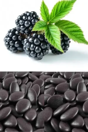 Populaire Dragees mariage a la pate de fruit Mure x 500gr