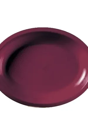 Bon Plan Assiette plastique Ovale Bordeaux 25cm x 50 pièces