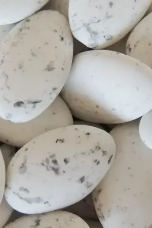 Nouveauté Dragées mariage au chocolat Blanc Moucheté x 500gr