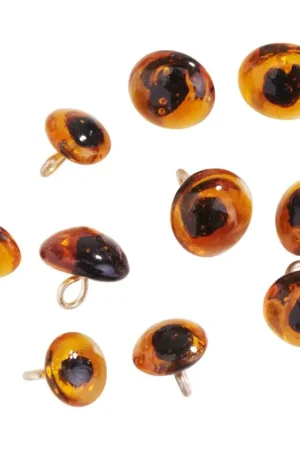 Yeux d'animaux à coudre, 10 pc. Promotion