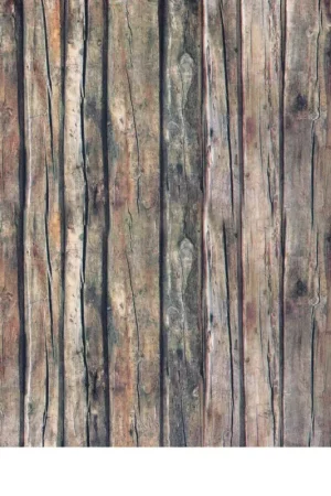 Meilleur Prix Carton photo à motifs « Bois », env. 50 x 68 cm, 300 g/m²
