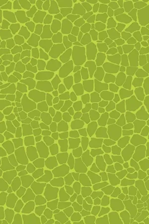 Seulement Aujourd'hui Papier Décopatch « Facettes, Tilleul »