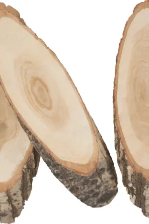 Satisfait Ou Remboursé Tronçons de bois VBS « Ovales »