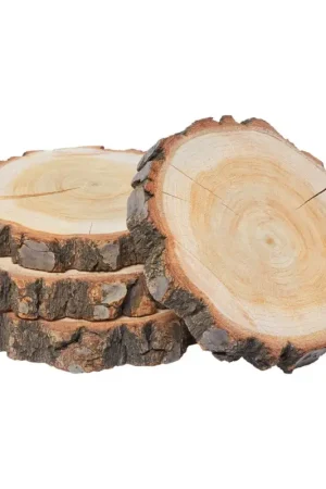 Bon Marché Tronçons de bois VBS « Rond »