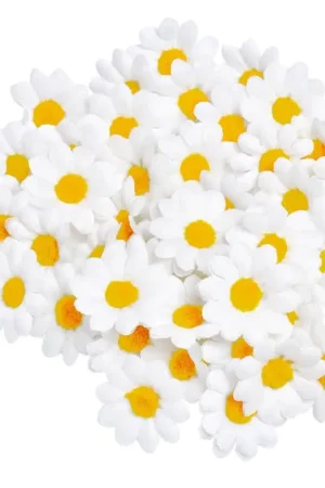 Fleurs de marguerite VBS, 50 pc. Prix Cassé