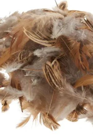 Réduction Plumes de poule, marron, 3 g