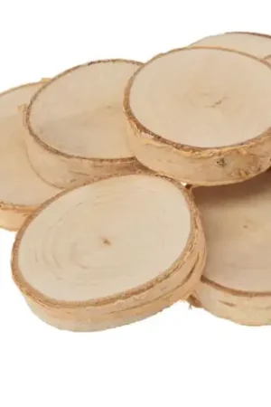 Prix Cassé Rondelles de bouleau VBS, 10 pc.