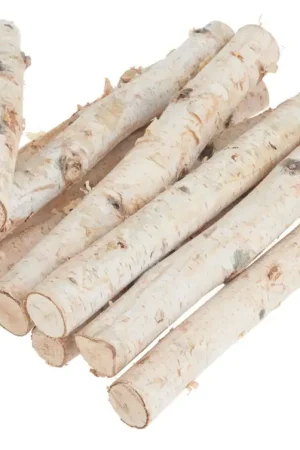 Vente Directe Branches de bouleau VBS « Dalke », env. L 25 cm, 10 pc.