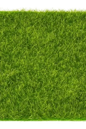 Vente Flash Plaque d'herbe