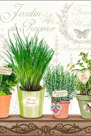 Serviette « Pots d’herbes aromatiques » Populaire