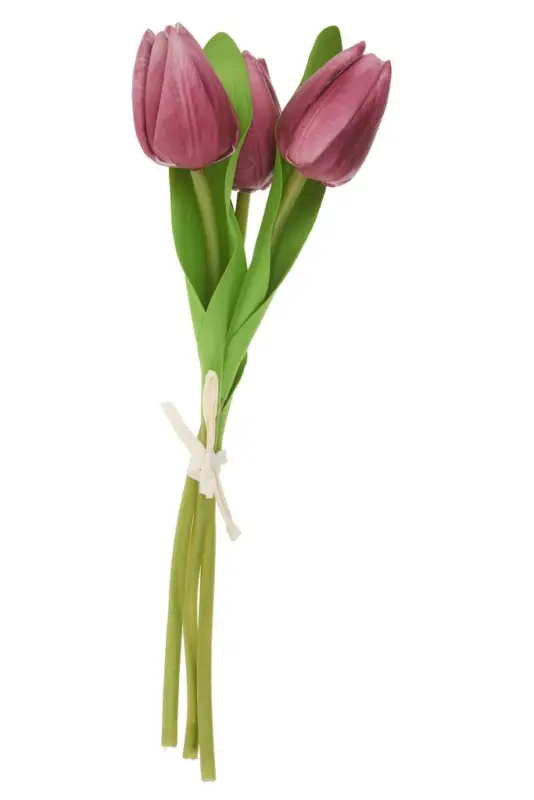 Bon Marché Tulipe VBS « Tammie »