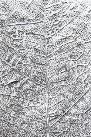 Prix Bas Gabarit d’embossage 3D Sizzix « Leaf Veins »