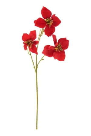 Prix Bas Tige de poinsettia « Wena »
