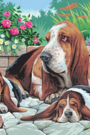 Commander Vite Peinture au numéro « Bassets »
