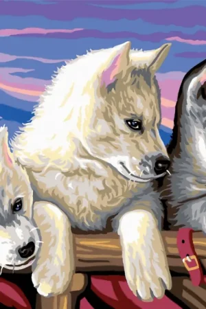 Peinture au numéro « Huskies » Produit De Marque