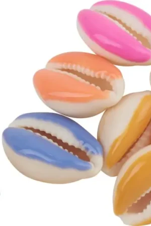 Perles coquillages à 2 trous Top Vente