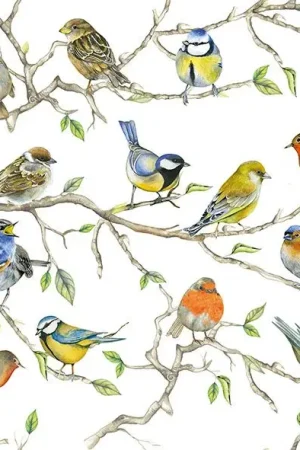 Meilleur Choix Serviette « Rassemblement d''oiseaux »