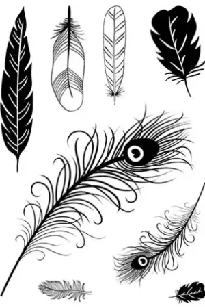 Tampons Clear Stamps « Plumes » Affaire À Saisir