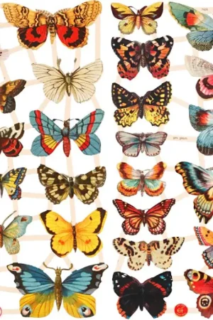 Prix Choc Motifs prédécoupés vintage « Papillons »