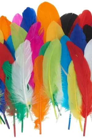 Retour Gratuit Assortiment de plumes d'indien