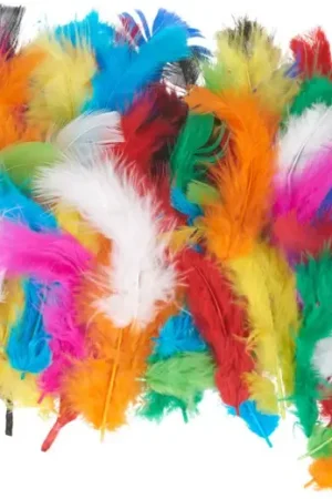 Bon Plan Mix de plumes duveteuses « Couleurs intenses »