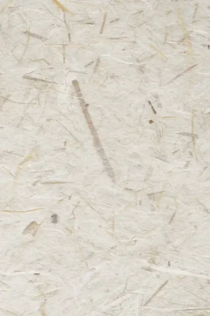 Seulement Aujourd'hui Papier banane « Naturel »