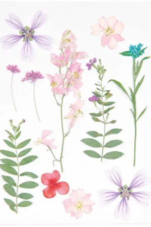 Set fleurs pressées Rico Design « Rose Violine » Réduction