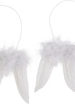 Offre Spéciale Ailes d'ange