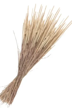 Paiement Sécurisé Fleurs séchées « Phleum pratensis »