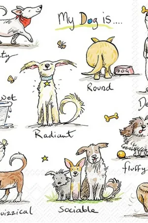 Dernière Chance Serviette « Emotion Dogs »