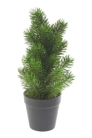Solde Sapin en pot « Rory », env. H 32 cm